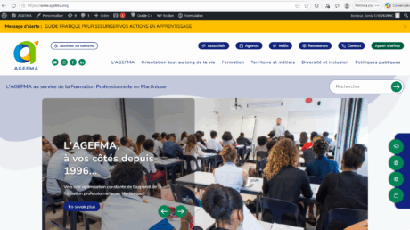 Présentation du visuel du site internet de l'AGEFMA